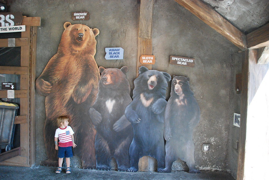 Columbus Zoo bears