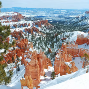 The Wyoming Town Outside Yellowstone That Has Everything the Park Has—Minus the 4-Hour Wait