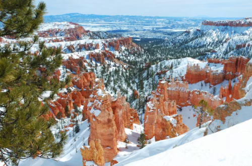 The Wyoming Town Outside Yellowstone That Has Everything the Park Has—Minus the 4-Hour Wait