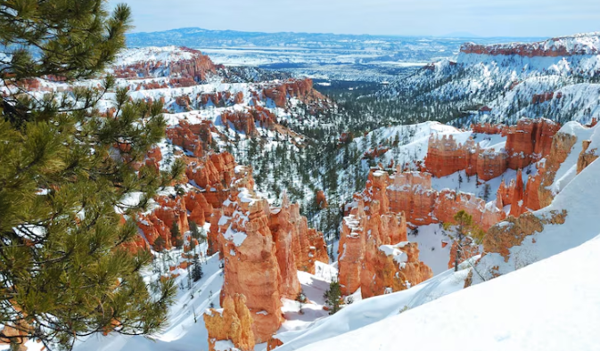 The Wyoming Town Outside Yellowstone That Has Everything the Park Has—Minus the 4-Hour Wait