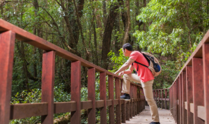 Ecotourism Is Booming—And These 8 American Destinations Are Leading the Movement