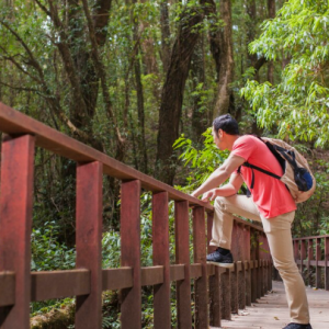 Ecotourism Is Booming—And These 8 American Destinations Are Leading the Movement