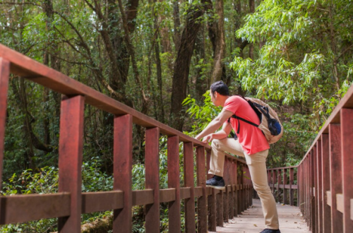 Ecotourism Is Booming—And These 8 American Destinations Are Leading the Movement