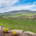 Forget Napa: Northern California's Most Beautiful Wine Country Town Costs Half as Much and Has Better Views