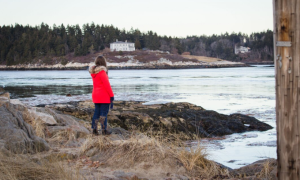 The Coastal Maine Island That Is Only Reachable by Ferry—And Worth Every Minute of the Journey